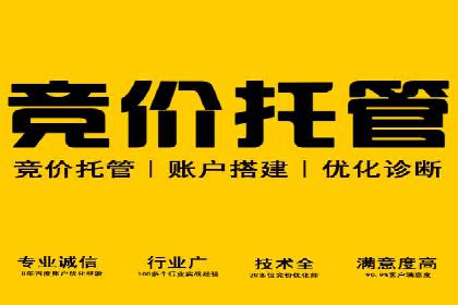 网络推广秘籍：竞价排名成功案例集锦